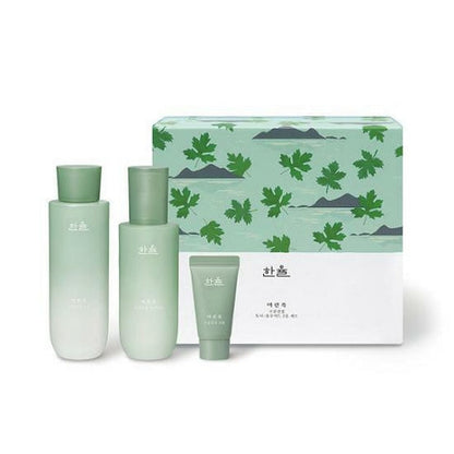 HANYUL PURE ARTEMISIA CALMING BALANCING SET | COLOURSWINK