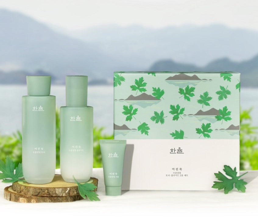 HANYUL PURE ARTEMISIA CALMING BALANCING SET | COLOURSWINK