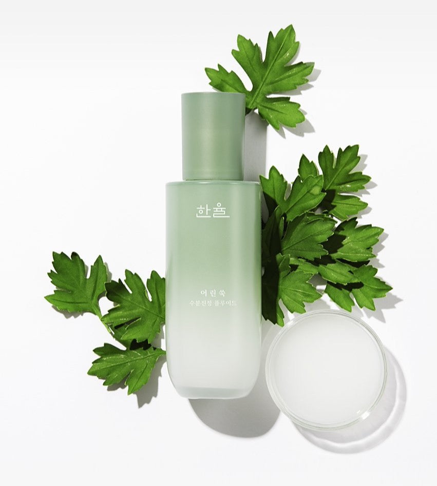 HANYUL PURE ARTEMISIA CALMING BALANCING SET | COLOURSWINK