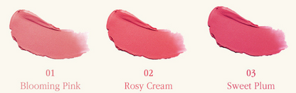 MACQUEEN NEW YORK POWDER BLUR TINT 4G 6COLOR | COLOURSWINK