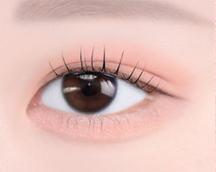 NATURE REPUBLIC DAILY BASIC BLOOM SINGLE SHADOW 1 1 1 5G 10COLOR | COLOURSWINK