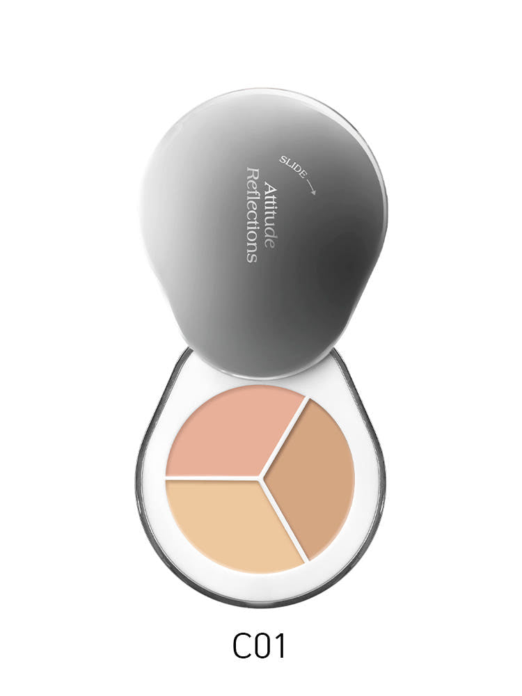 DEAR A PERFECT COVER CONCEALER PALETTE 1 3GX3 4COLORS | COLOURSWINK