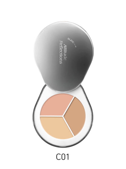 DEAR A PERFECT COVER CONCEALER PALETTE 1 3GX3 4COLORS | COLOURSWINK