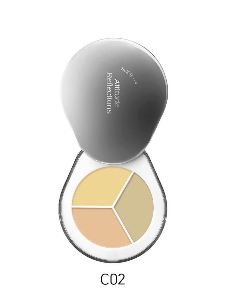 DEAR A PERFECT COVER CONCEALER PALETTE 1 3GX3 4COLORS | COLOURSWINK